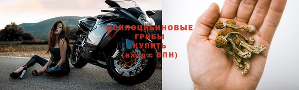 бошки Абаза