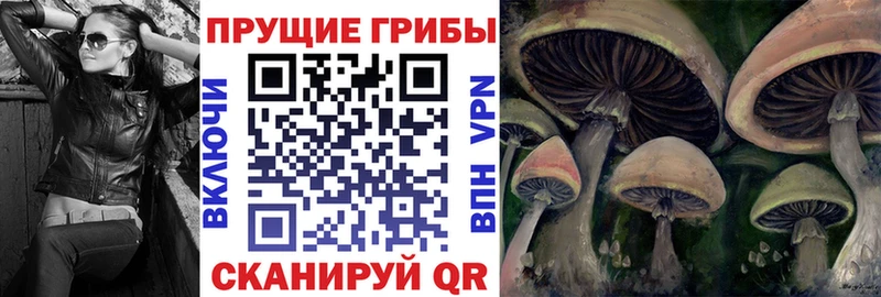 МЕГА рабочий сайт  Лодейное Поле  Галлюциногенные грибы Cubensis 
